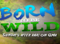 Born To Be Wild May 4 2025